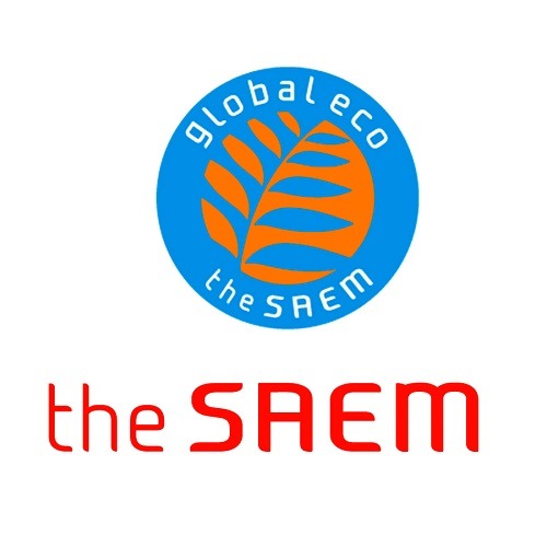 the SAEM