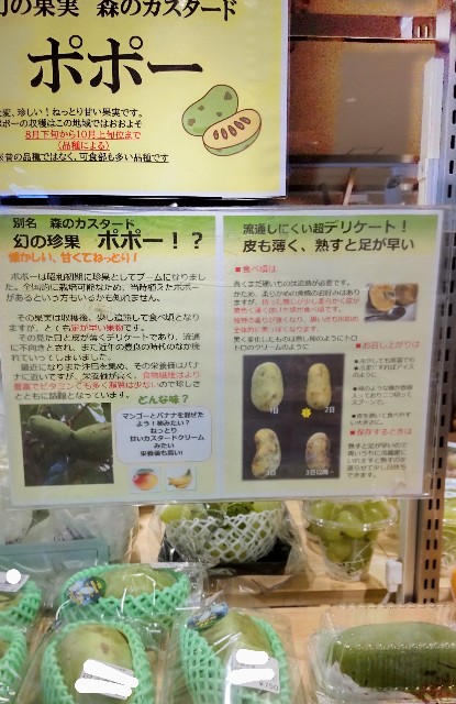 f:id:seallover:20230905165502j:image f:id:seallover:20230905165502j:image