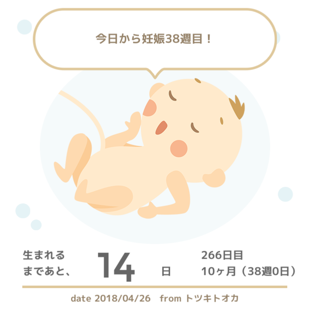 f:id:seaotter5:20180426184140p:image
