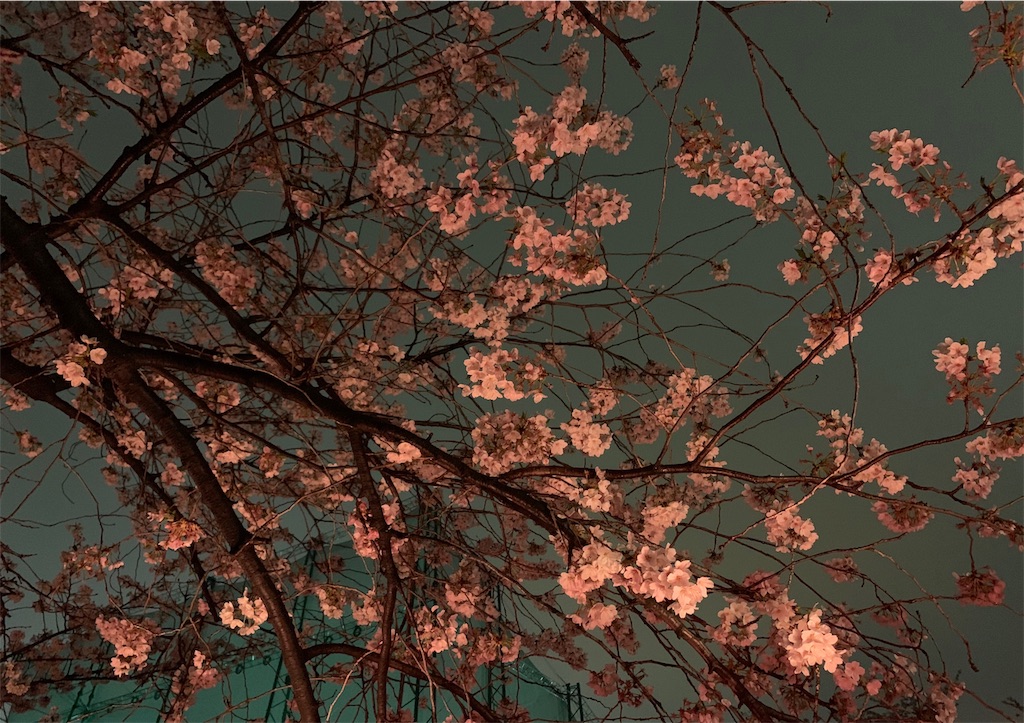 f:id:seasae11:20190408224304j:image f:id:seasae11:20190408224304j:image