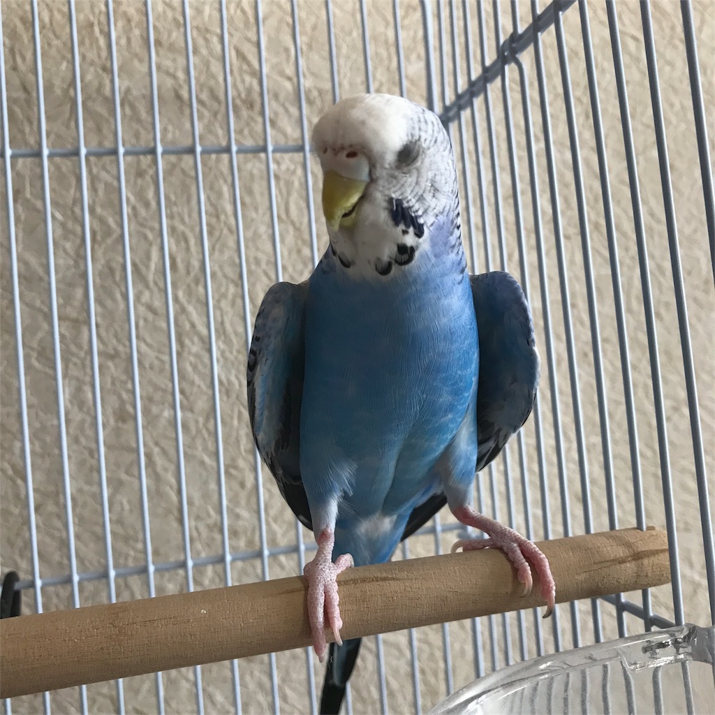 f:id:seasidebook:20180627135609j:image