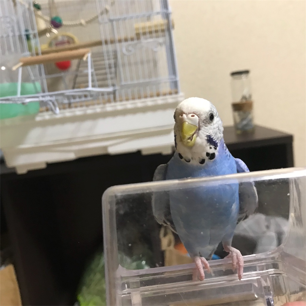 f:id:seasidebook:20180627135757j:image