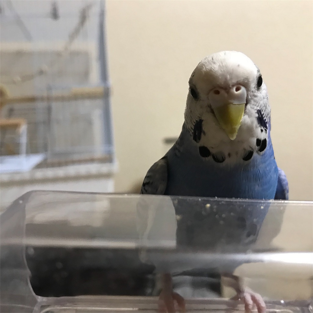 f:id:seasidebook:20180627140408j:image