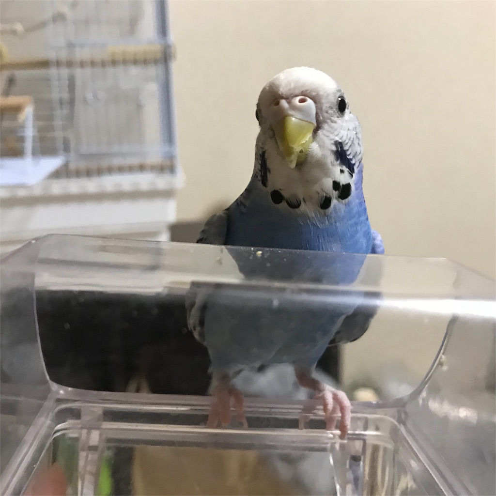 f:id:seasidebook:20180627140813j:image