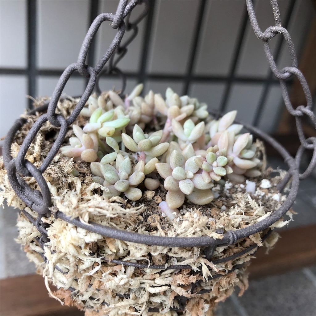 f:id:seasidebook:20180630015329j:image