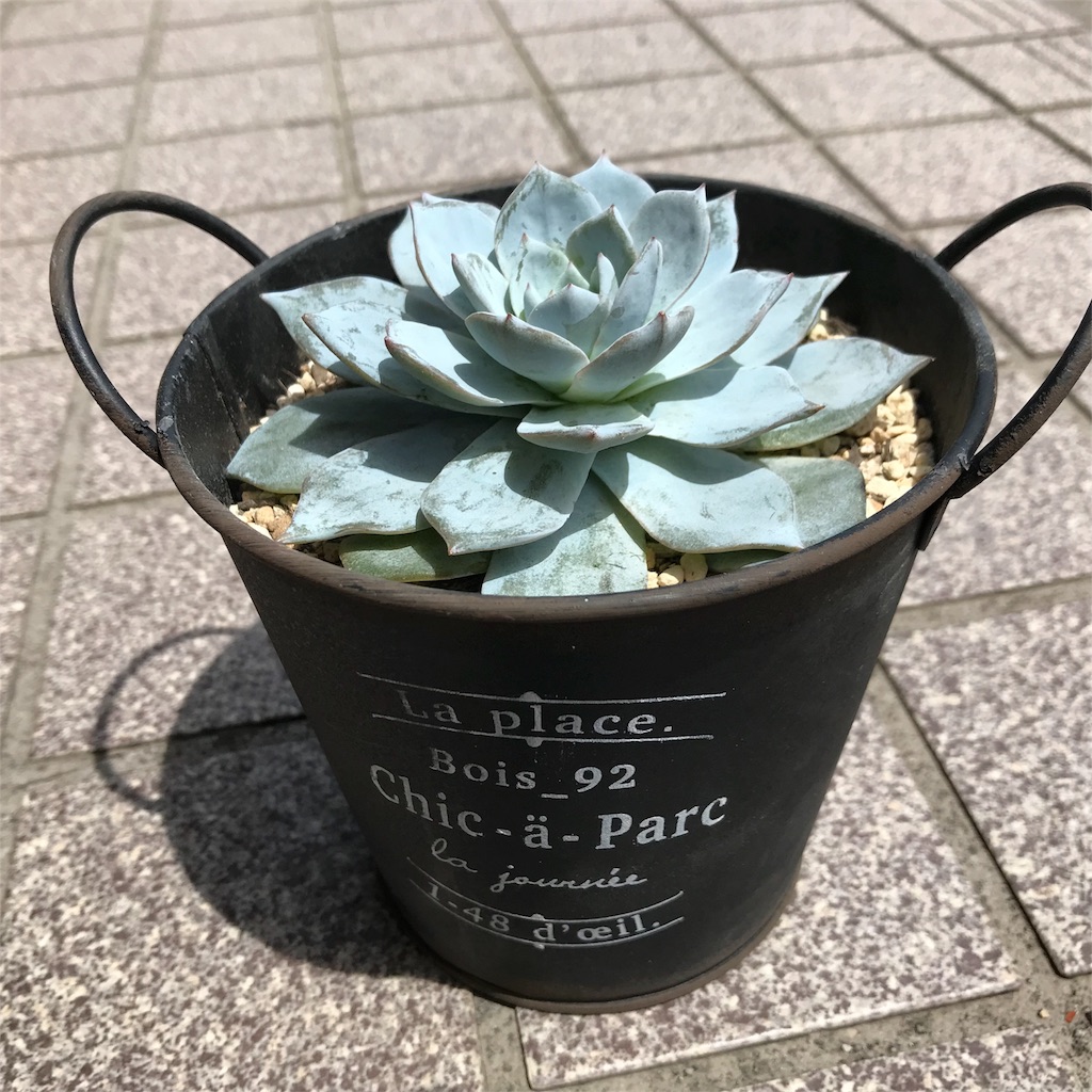 f:id:seasidebook:20180630021103j:image
