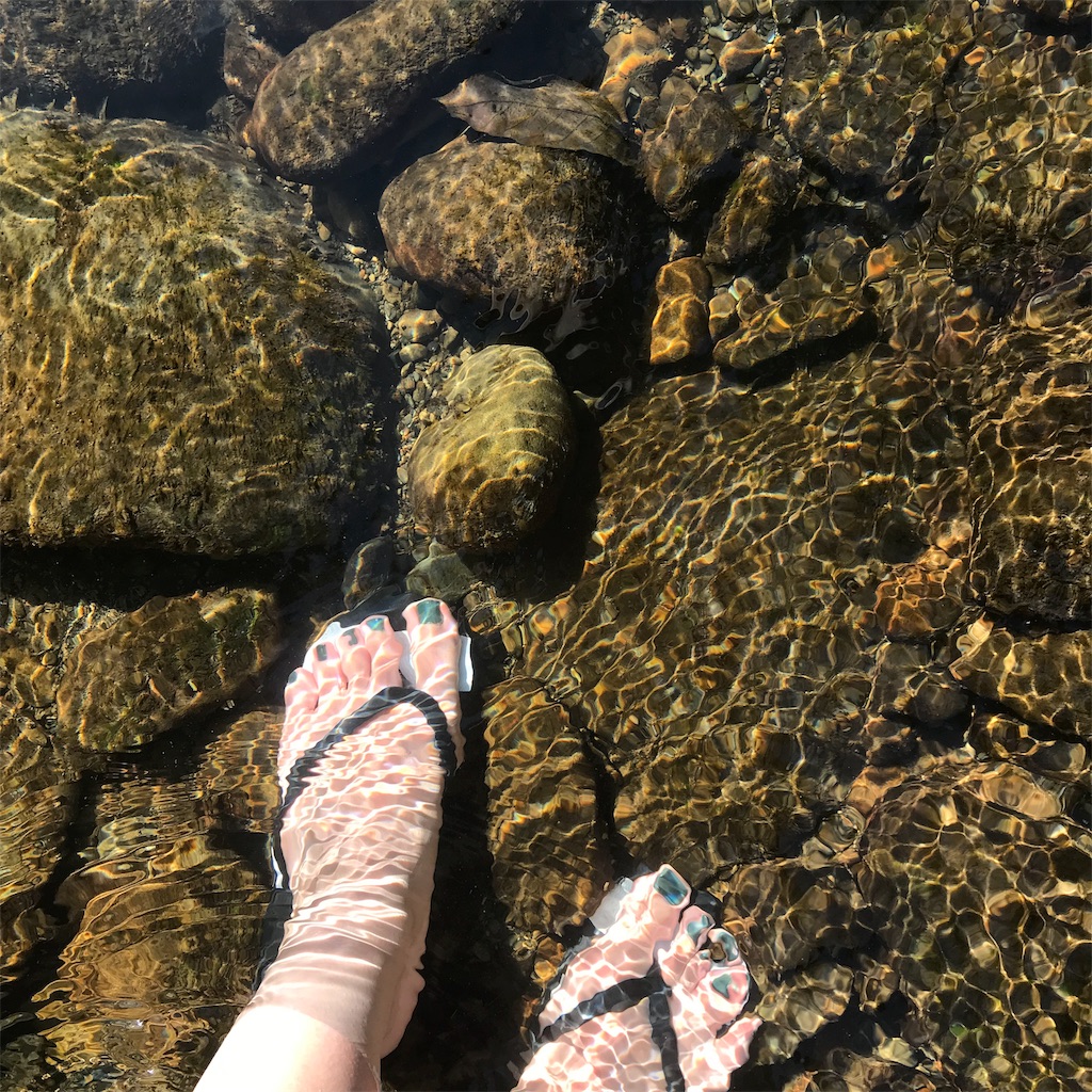 f:id:seasidebook:20190802232723j:image