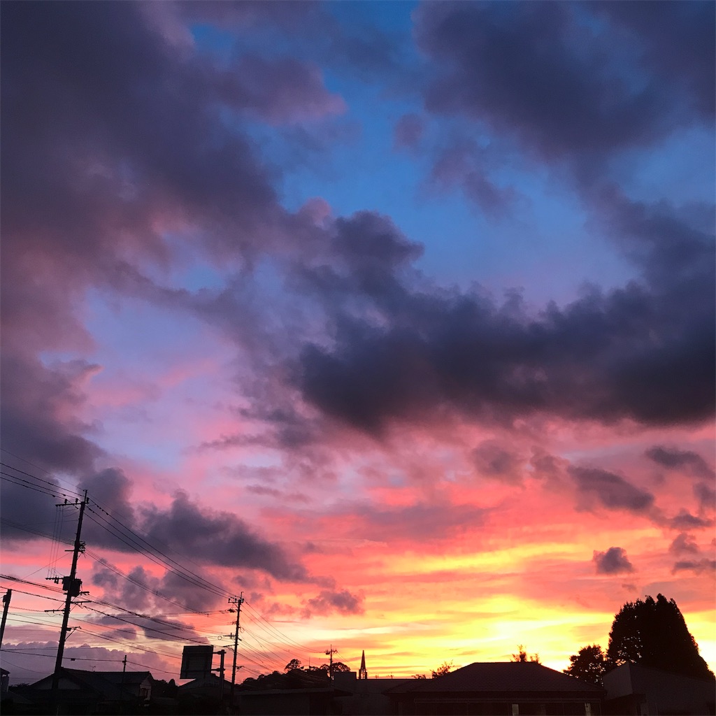 f:id:seasidebook:20190802235120j:image