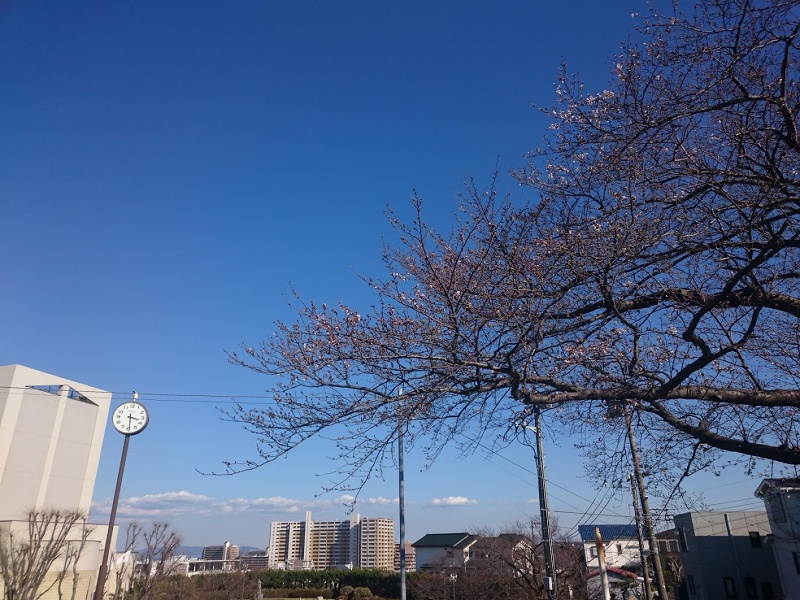 f:id:seasideexp:20190402013400j:plain