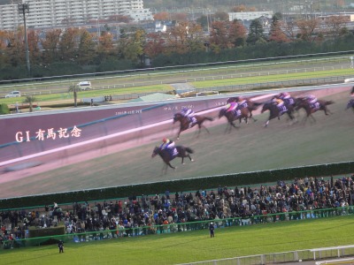 イメージ 7