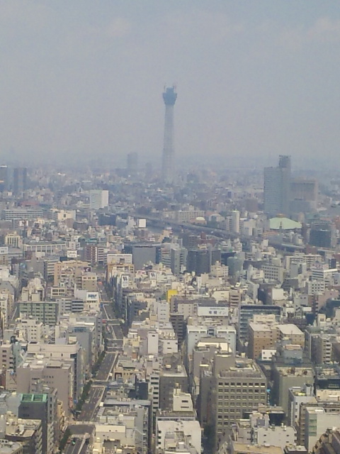 イメージ 2