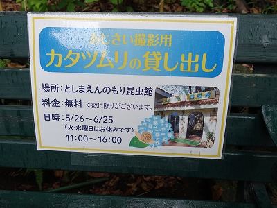 イメージ 28