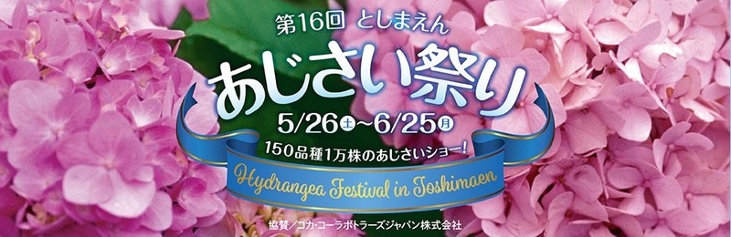 イメージ 29