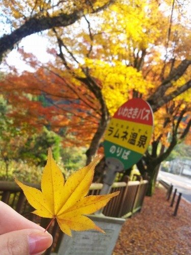 イメージ 9
