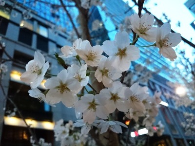 イメージ 9