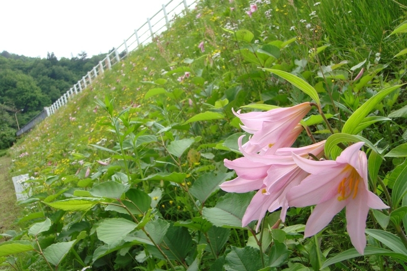 イメージ 3