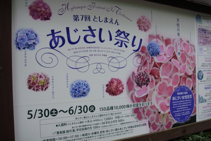 イメージ 15