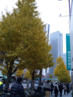 イメージ 6