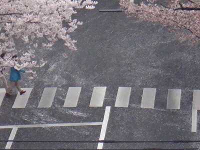 イメージ 12