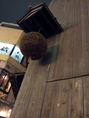 イメージ 6