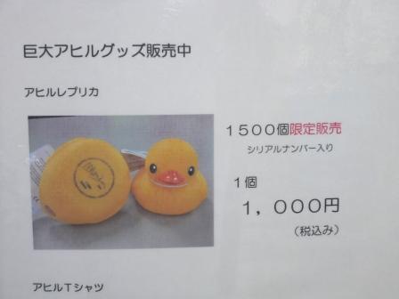 イメージ 7