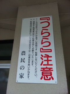 イメージ 5