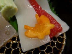 イメージ 18