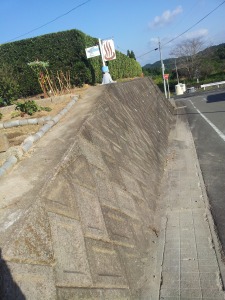 イメージ 9