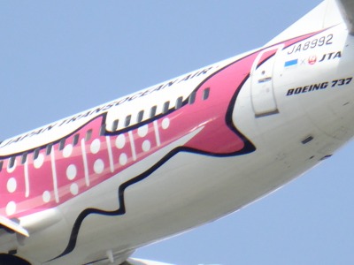 イメージ 38