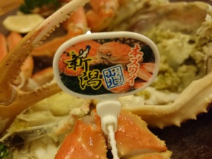 イメージ 19