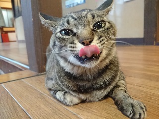 イメージ 6