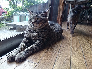 イメージ 7