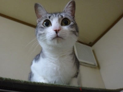 イメージ 13