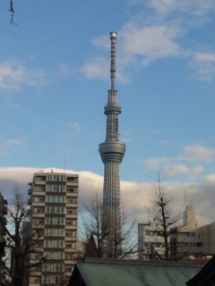 イメージ 5