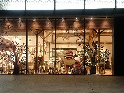 イメージ 12