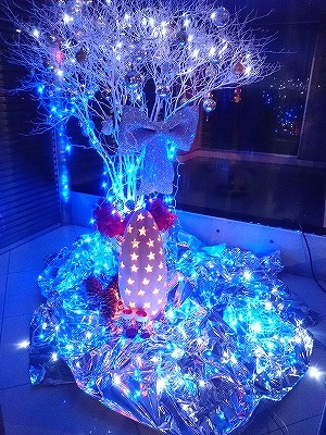 イメージ 3