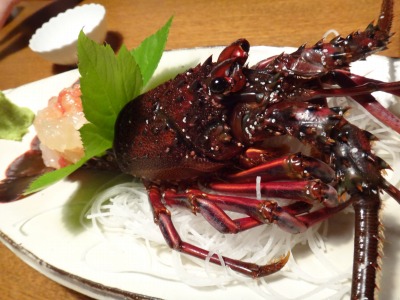 イメージ 18