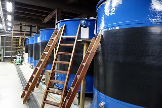 イメージ 43