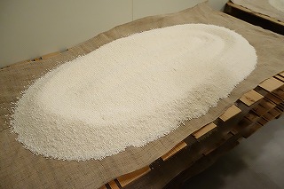 イメージ 45