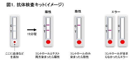 f:id:seasonsgreetings:20200601203326j:plain