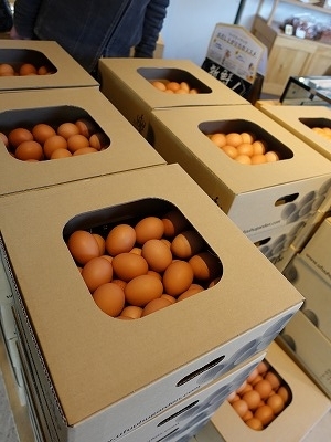 f:id:seasonsgreetings:20200830130709j:plain