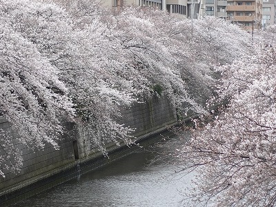 f:id:seasonsgreetings:20210323021911j:plain