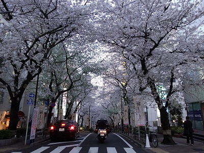 f:id:seasonsgreetings:20210328001820j:plain