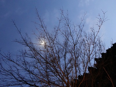 f:id:seasonsgreetings:20220131062456j:plain