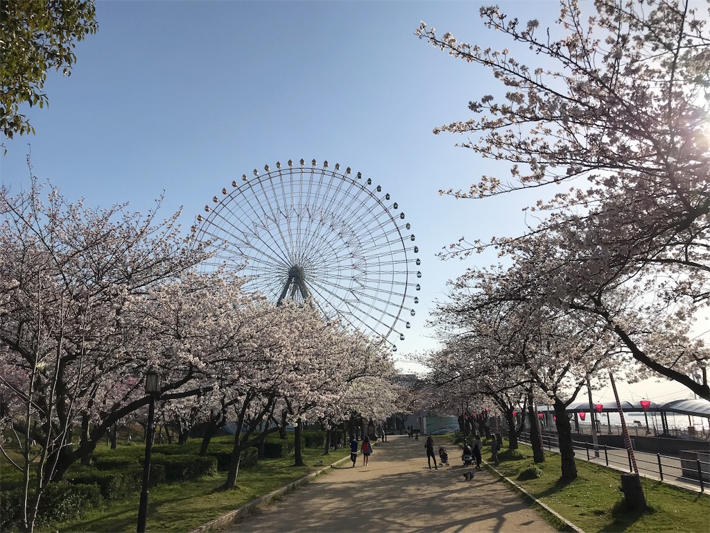 f:id:seasparrow404:20180402000643j:image