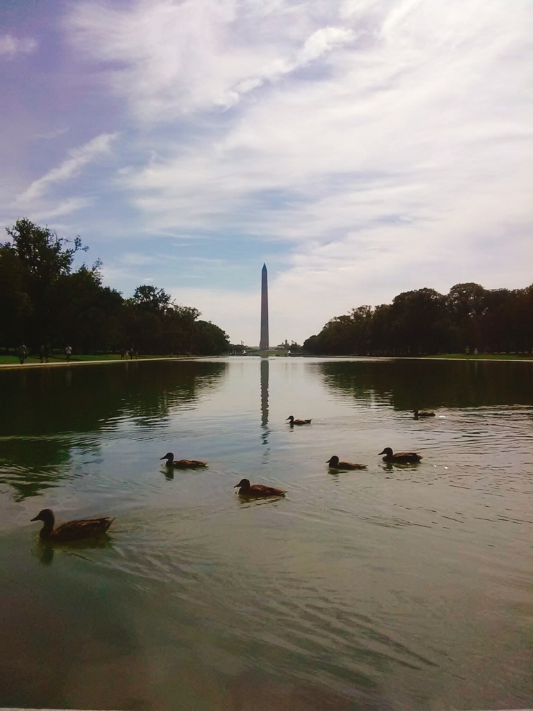 アメリカ東海岸滞在記 ワシントンd C 編 図書館員 Uw研修者のブログ