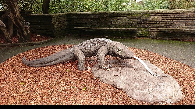 f:id:seattlelifelog:20200305082544j:image f:id:seattlelifelog:20200305082544j:image