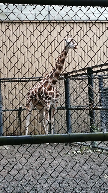 f:id:seattlelifelog:20200305082601j:image f:id:seattlelifelog:20200305082601j:image