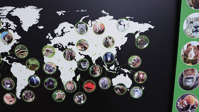 f:id:seattlelifelog:20200305082806j:image f:id:seattlelifelog:20200305082806j:image