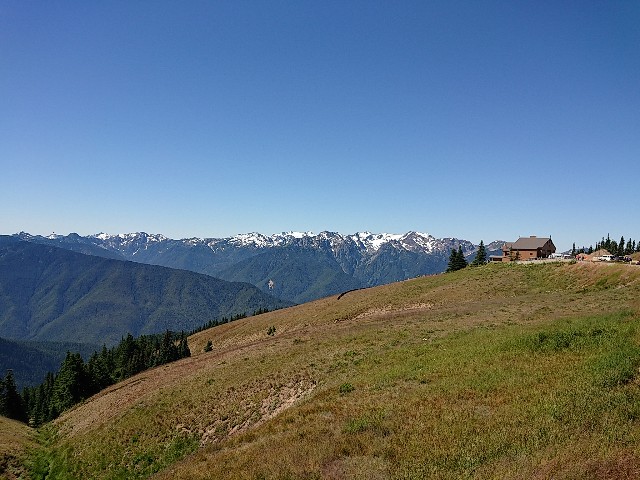 f:id:seattlelifelog:20200801114730j:image f:id:seattlelifelog:20200801114730j:image